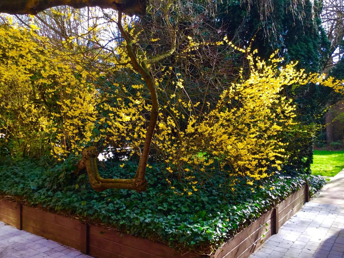 Guest house La Carree *